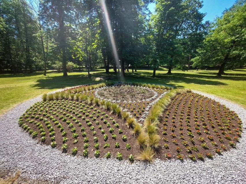 Park Mickiewicza w Wieliczce - założony w 1835 roku, jako...