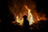 Portugalia. Pożary utrudniają ruch między Algarve a Lizboną. Czy turystyczny region zostanie całkowicie odcięty od stolicy państwa?