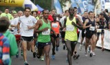 Bytomski Półmaraton 2016: Zawodnicy wystartują 18 września