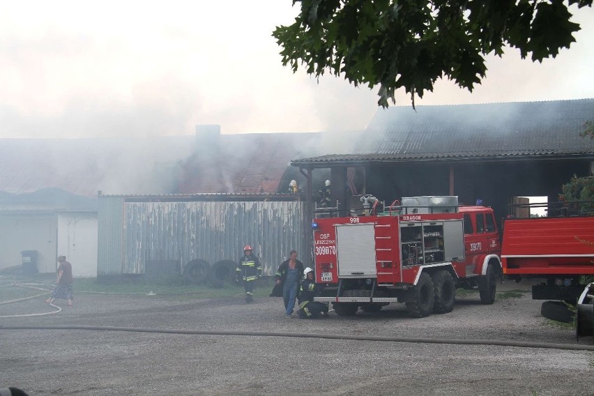 Pożar w stadninie koni w Cedzynie