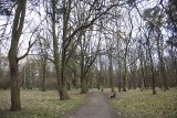 Najpiękniejsze parki we Wrocławiu. Tu najlepiej odpoczywa się w mieście! [GALERIA]