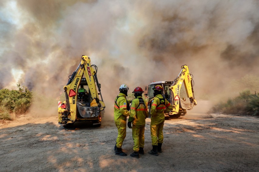 Portugalia zmaga się z pożarami lasów i nieużytków rolnych