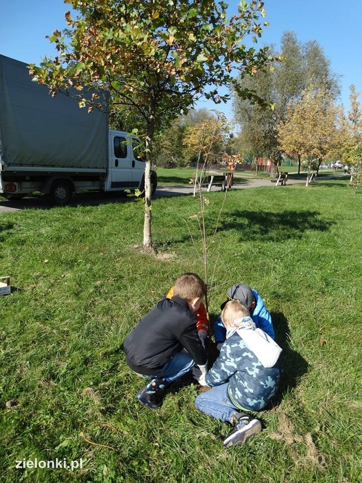 Półdziki skwer w Zielonkach pod lupą najmłodszych odkrywców przyrody