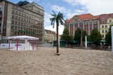 Wrocław: Plaża z palmami w sercu miasta (ZDJĘCIA)