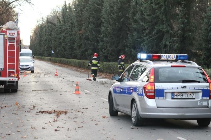 Wrocław: Drzewo spadło na toyotę