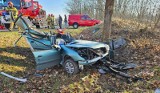 Wypadek między Żarami a Sieniawą Żarską. 24-latka uderzyła autem w drzewo