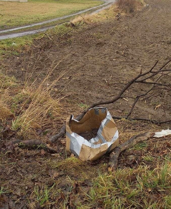 Takie szczeniaki zostały porzucone w gminie Malbork