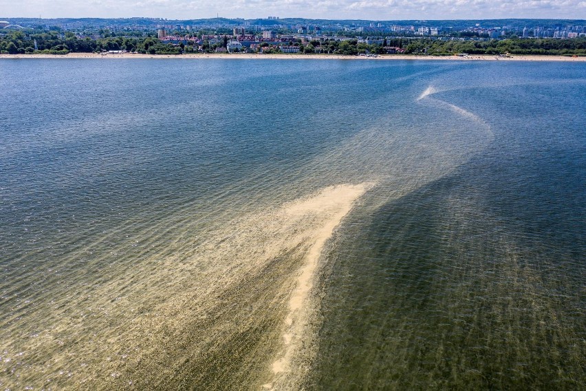 Żółta woda w Bałtyku