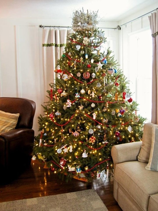 Wielu z nas kupuje na Boże Narodzenie żywe drzewko. Na rynku jest ich kilka rodzajów. Czym się różnią?
