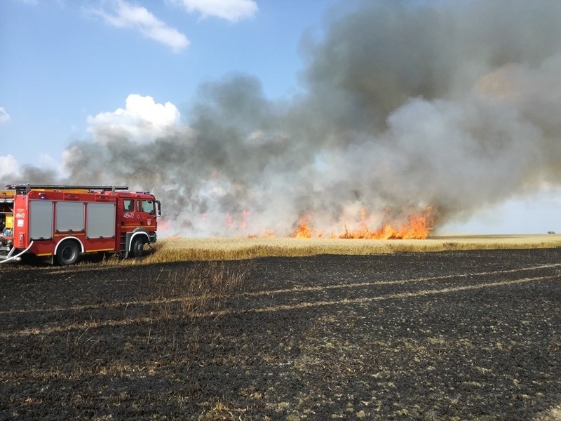 W poniedziałek (23 lipca) doszło do dwóch groźnych pożarów...