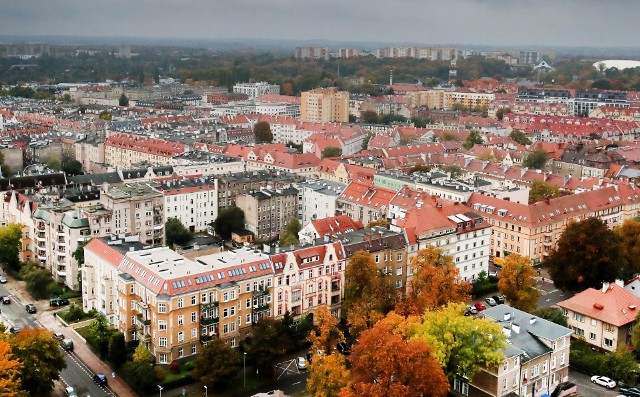 Ofertę należy wygenerować i złożyć w terminie do 29 stycznia do godz. 15.