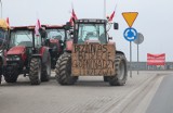Rolnicy znów wyjdą na ulice Poznania. Liczne demonstracje pod biurami poselskimi! Sprawdź szczegóły!