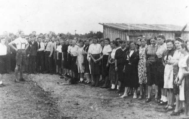 Zdjęcie z apelu w obozie pracy w Mannheim, w 1943 r. Zrobione do kroniki. Z lewej komendant Szregeberger, na ziemi pies, którego tak się bałyśmy.