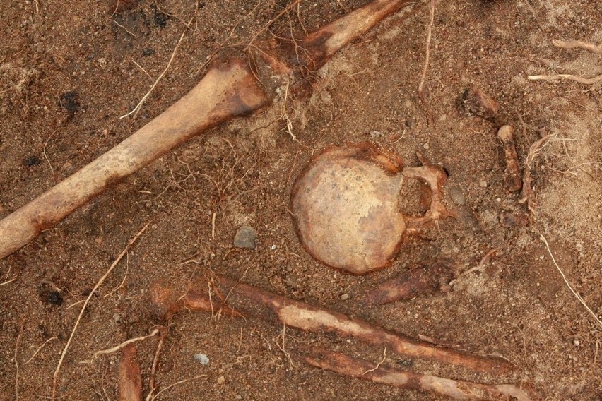 Ludzkie szczątki ułożone są w kilku warstwach