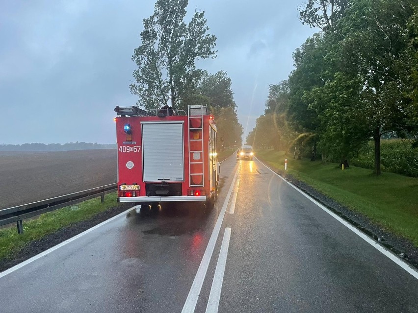 Prawie 30 wyjazdów do powalonych drzew i gałęzi w powiecie...