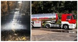 12 zastępów straży pożarnej gasiło pożar kurników pod Stargardem. Zginęły tysiące ptaków