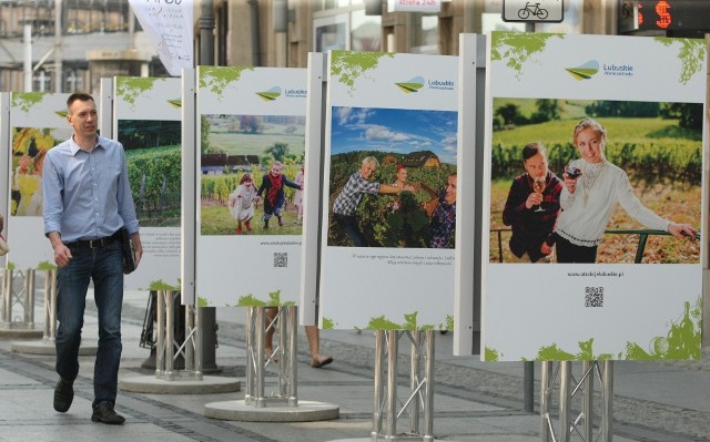 Lubuskie winnice to jedna z atrakcji regionu. Były promowane m.in. na wrocławskim rynku.
