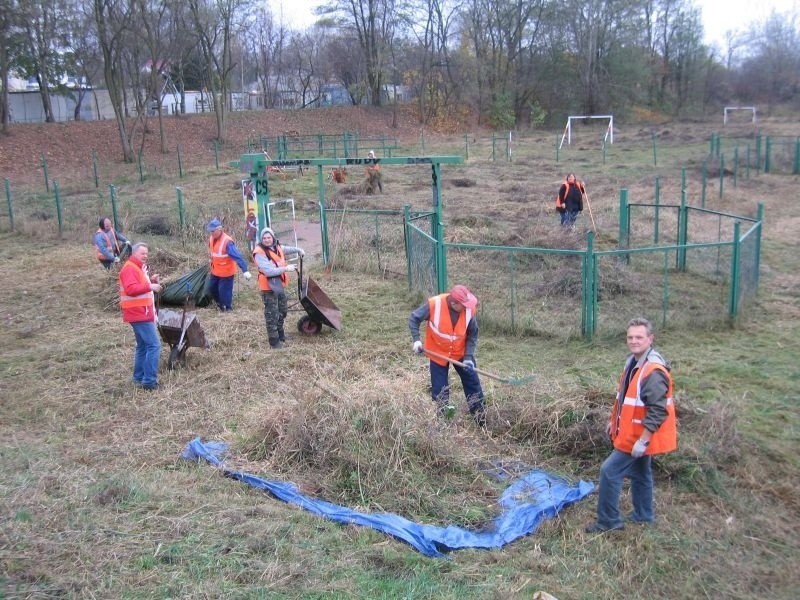 Ścięte badyle robotnicy zbierali w brezentowe plandeki i...