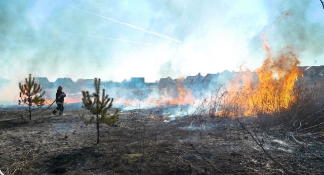 W miniony weekend przy pożarach traw strażacy interweniowali blisko 340 razy.