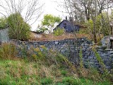 Rozebrano mur z macew przy ul. Poprzecznej w Tuszynie. Ale zniknęły też historyczne macewy