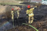 Ponad 500 pożarów traw w marcu na Podkarpaciu. Mimo tysięcy apeli o zaprzestanie ludzie od lat wraz z wiosną podpalają łąki, pola, nieużytki