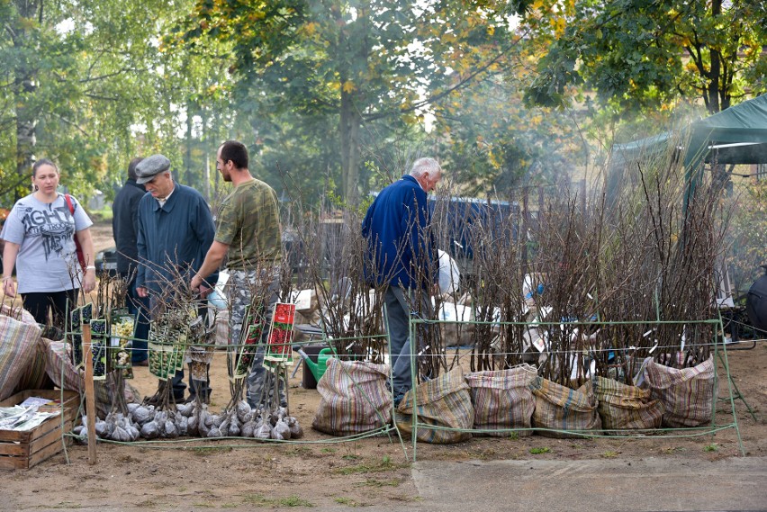 Kiermasz w Zaściankach