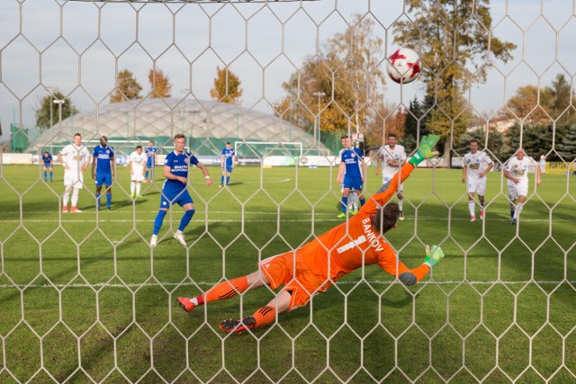 Puszcza Niepołomice - Ruch Chorzów