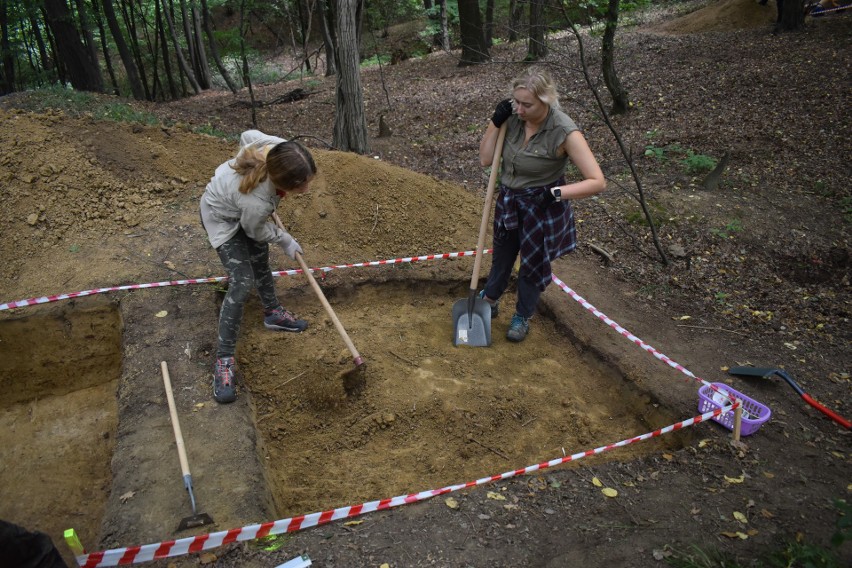 Wszystko, co do tej pory zostało odnalezione podczas prac...