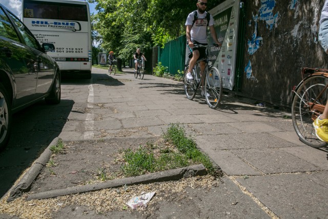 Puste "okienka" po drzewach są między innymi na ulicach Dietla i Garncarskiej