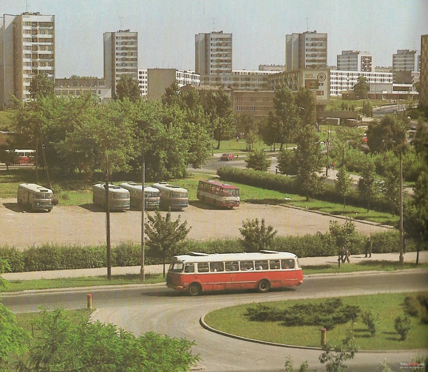 Lata 1979-1982