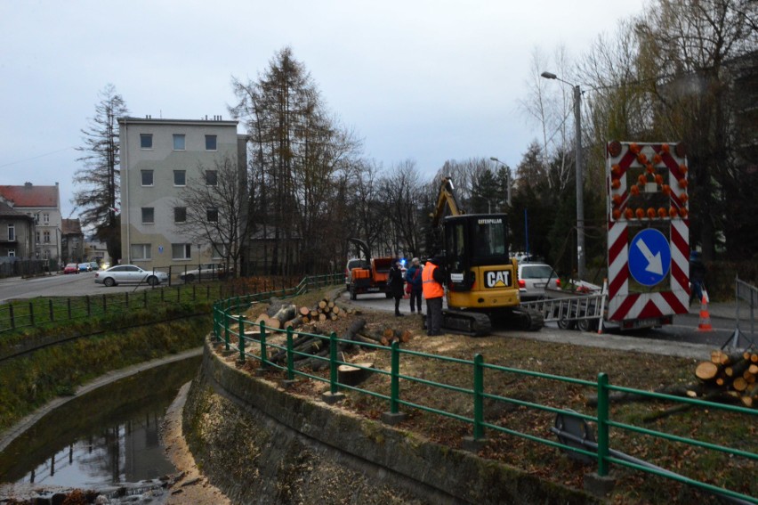 Myślenice. Powiat chciał wycinki drzew, gmina ją zaakceptowała. Ale dla części mieszkańców ta decyzja jest nie do zaakceptowania