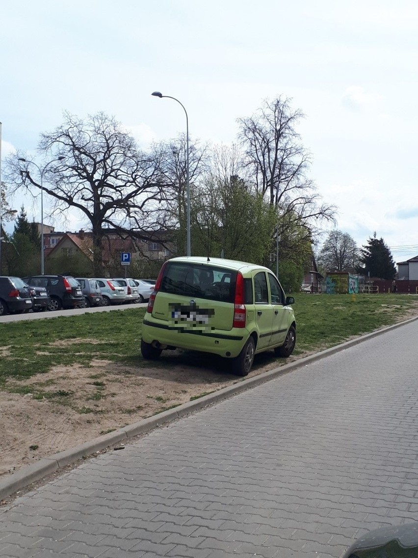 Parkowanie w Białymstoku na pasie zieleni przy ul. Kraszewskiego i Sobieskiego [ZDJĘCIA]