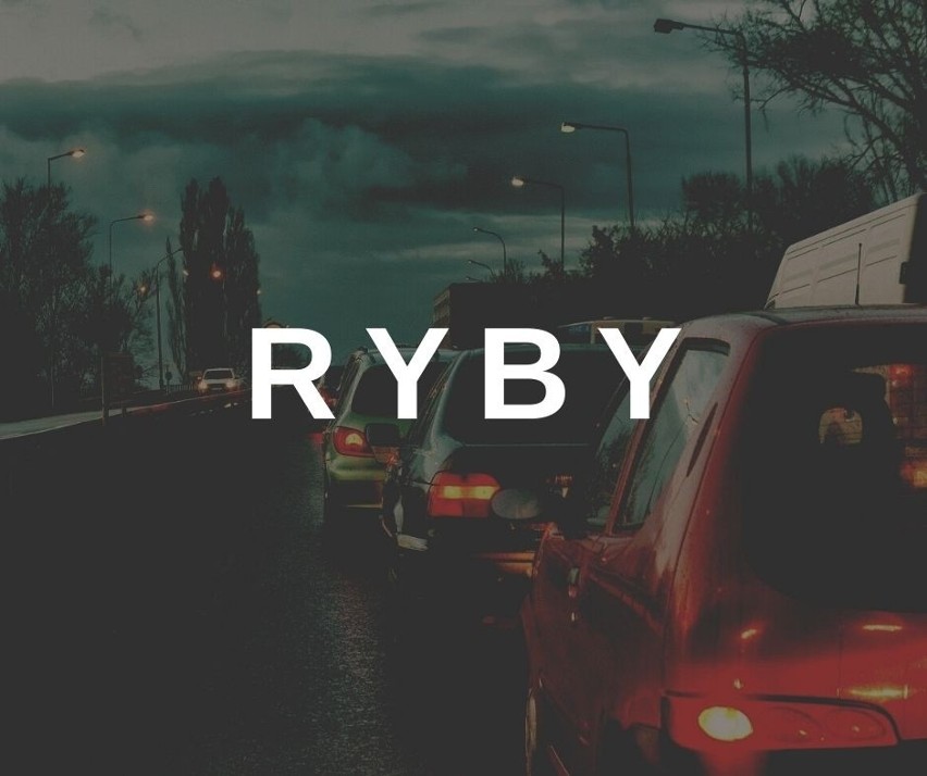 RYBY...