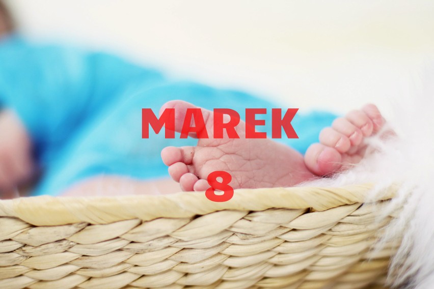 Marek - 8