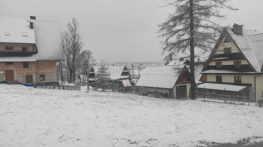 W Zakopanem znów zrobiło się biało. Choć wczoraj na polanach...