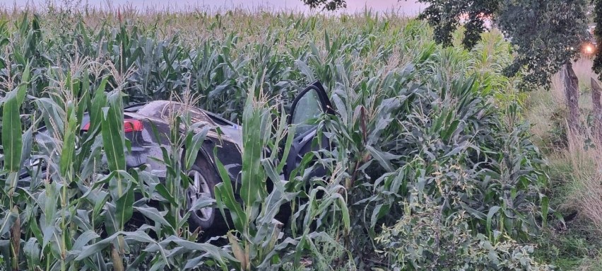 Samochód z ciałem mężczyzny znaleziono w polu kukurydzy