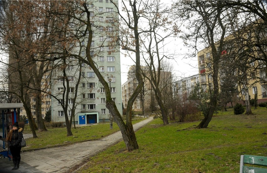 Hałaśliwym grupom pijących alkohol nie odpuszczają...