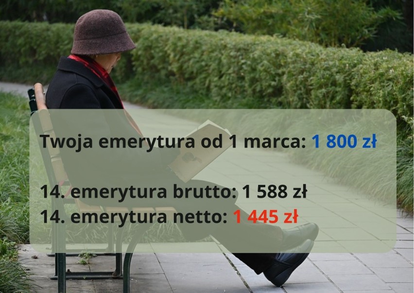 14. emerytura w 2023 roku. Wiemy ile pieniędzy dostana...