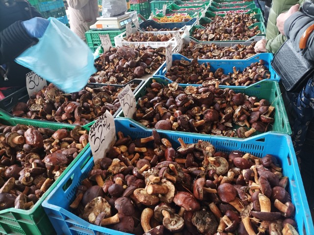 Na łódzkich rynkach na straganach jest jeszcze w sprzedaży sporo grzybów.