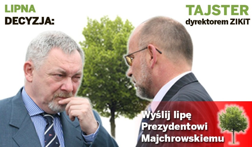 Lipna decyzja: Tajster szefem ZIKiT-u. Wyślij "lipę" prezydentowi Majchrowskiemu! [AKCJA]