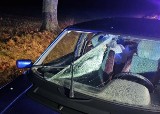 Wypadek w gminie Troszyn, 6.02.2024. Samochód potrącił pieszego, mężczyzna poniósł śmierć na miejscu