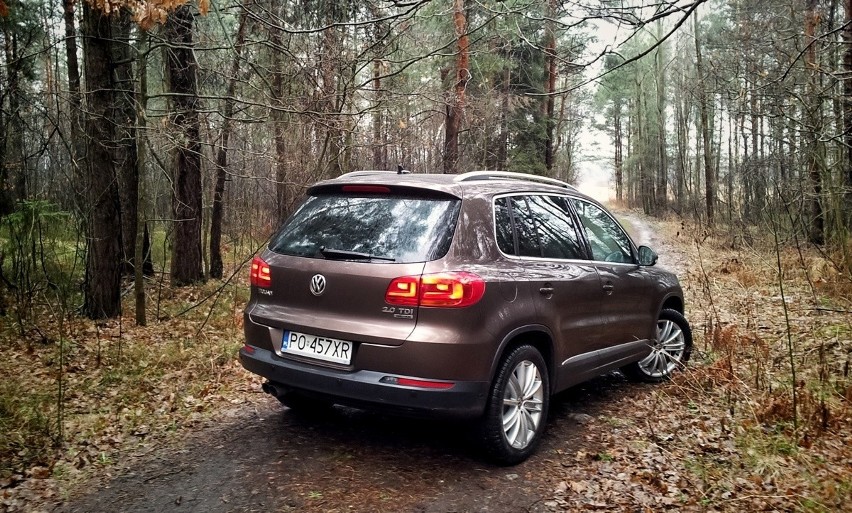 Volkswagen Tiguan 2.0 TDI / Fot. Przemysław Pepla