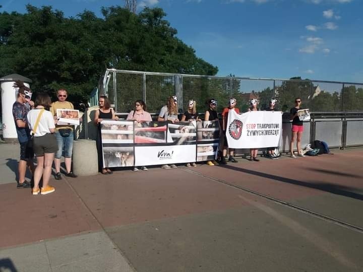 Akcja uliczna #StopLiveTransport - STOP długodystansowemu...