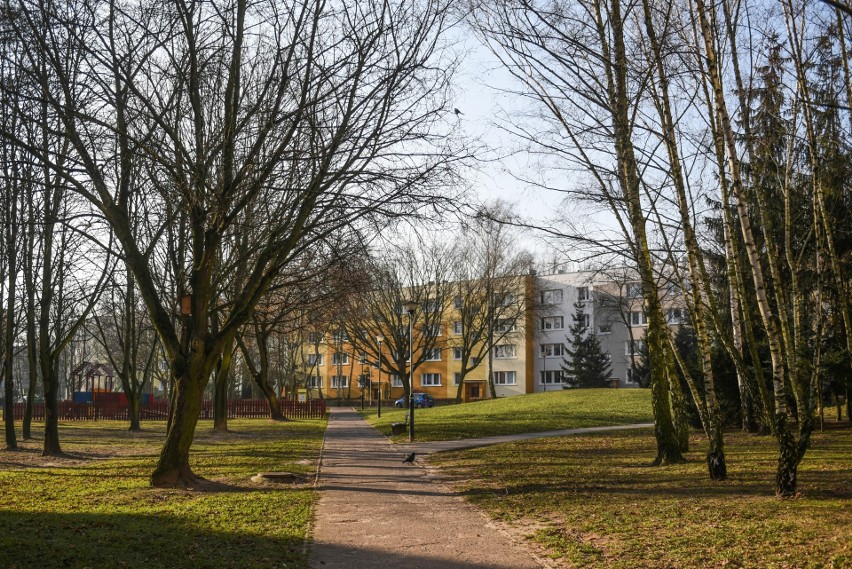 Mieszkańcy obawiają się, że tereny zielone zostaną...