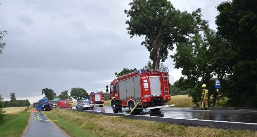 Śmiertelny wypadek na drodze krajowej nr 55 za Malborkiem w...