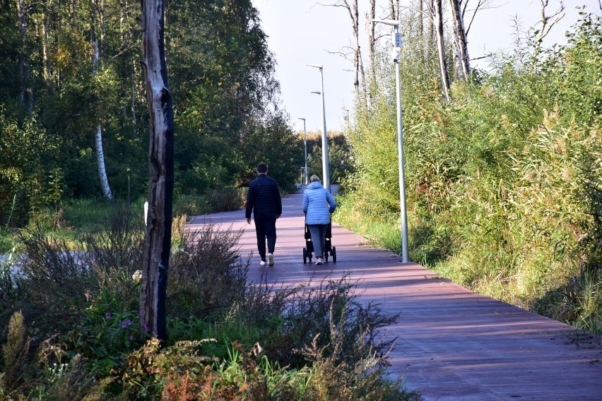 Promenada w Trzebieży. Brakuje ławek, śmietników i leżaków. Dlaczego?