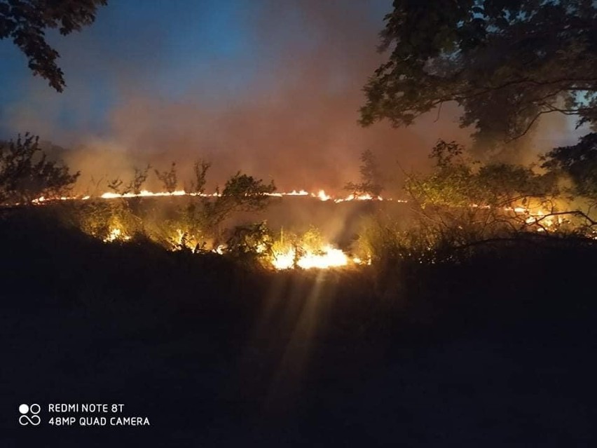 To już pewne. Na terenie gminy Cybinka grasuje podpalacz.