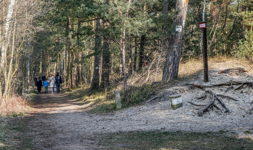 Do lasów, które od 20 kwietnia ponownie zostały otwarte...