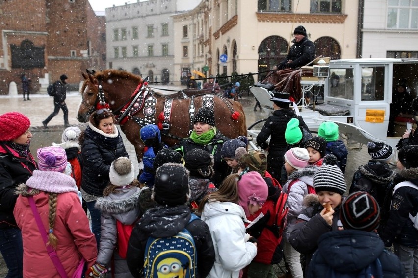 Kraków. Dzieci zaczęły ferie od przejazdu dorożką [ZDJĘCIA]