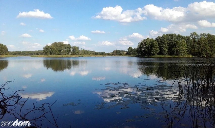 NOWY JASINIEC, POWIAT BYDGOSKI...